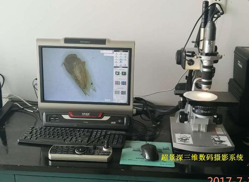 超景深三维摄像系统